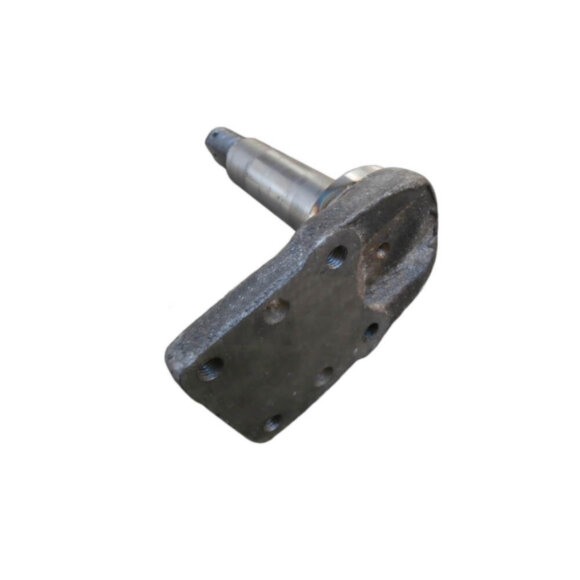 Цапфа осьова Т-40 (Т25-3103020-В1)