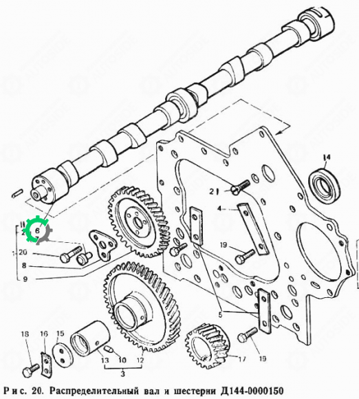Вал распределительный Т-40, Д-144 (распредвал Д37М-1006015-А) Вал распределительный Т-40, Д-144 (распредвал Д37М-1006015-А)