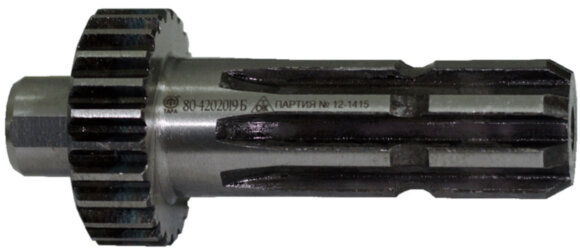 xvostovic-80-4202019Б.jpg