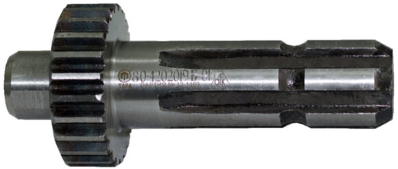 xvostovic-80-42022019-B-01.jpg